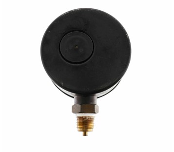 WERIE RIETSCHLE -1,0 BAR MANOMETER
