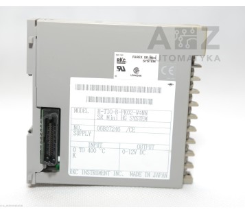 RKC INSTRUMENT FAREX SR MINI SYSTEM TIO H-TIO-B-FK02-V*NN