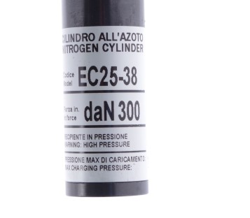 BORDIGNON EC25-38 EC2538 DAN 300 DAN300 195 BAR  ! NEW !