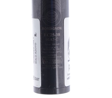BORDIGNON EC25-38 EC2538 DAN 300 DAN300 195 BAR  ! NEW !