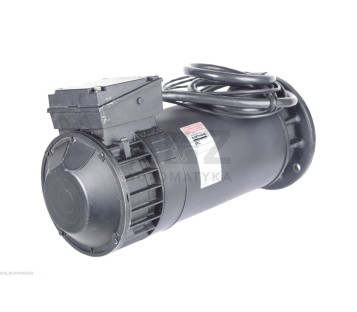 BBC ALSTHOM HYTORK-SERVOMOTOR T6F3C A7176 139591