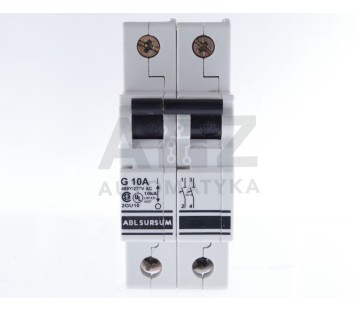 ABL SURSUM ALTECH CORP.  G 10A G10A 