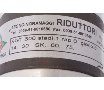 TECNOINGRANAGGI RIDUTTORI BGT 600 14.30.SK.60.75 
